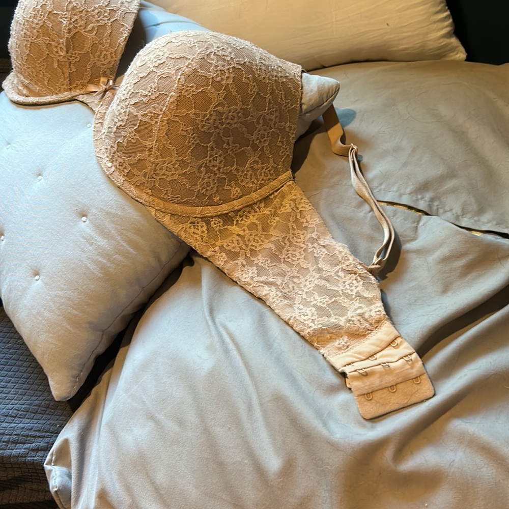 Lined Perfect Coverage 38dd Euc Vs - image 4